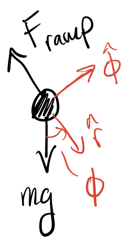 Free body diagram of skateboarder